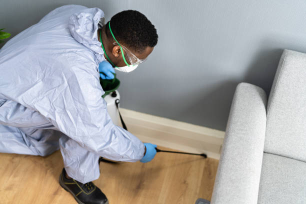 Best Fumigation Services  in Greenhills, OH